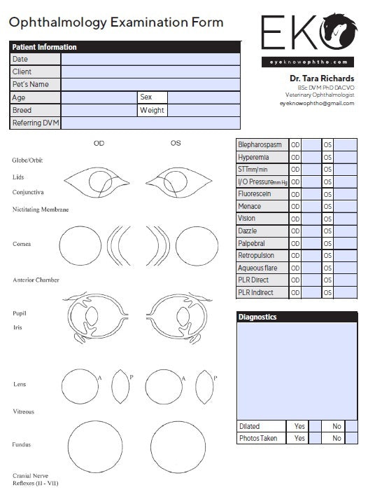Ophthalmic examination sheet